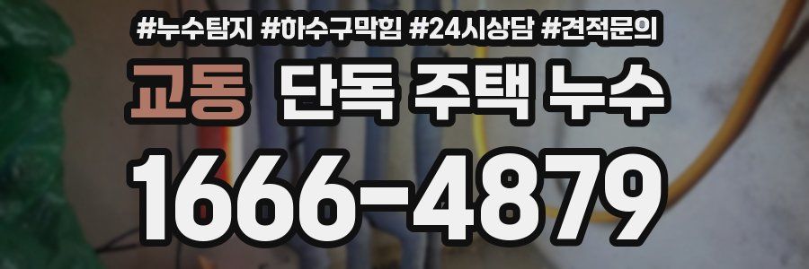 교동 단독 주택 누수