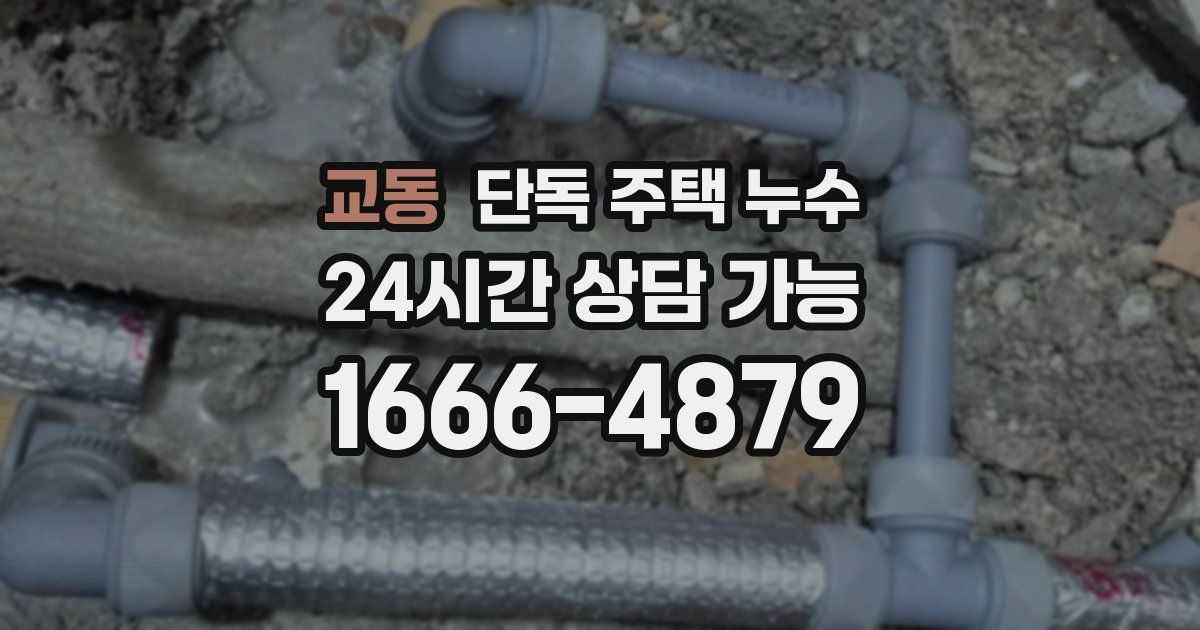 교동 단독 주택 누수