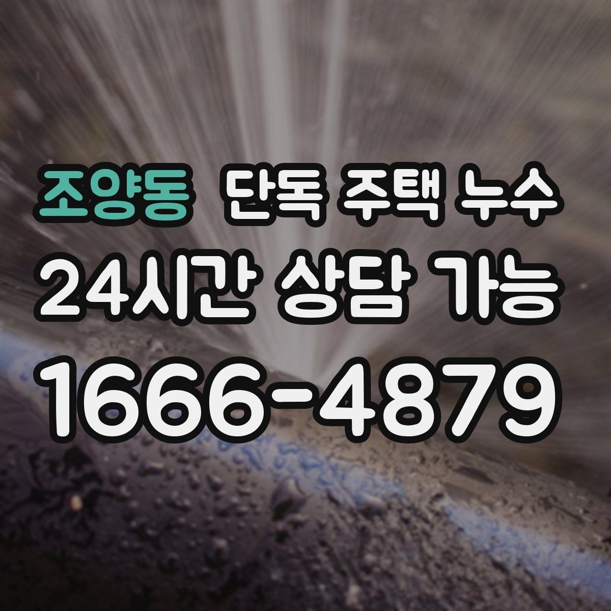 조양동 단독 주택 누수 욕실 바닥 경사 불량이 의심되는 증상