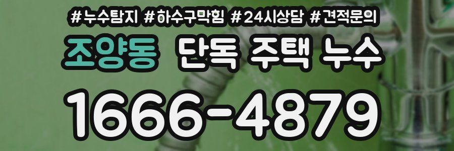 조양동 단독 주택 누수