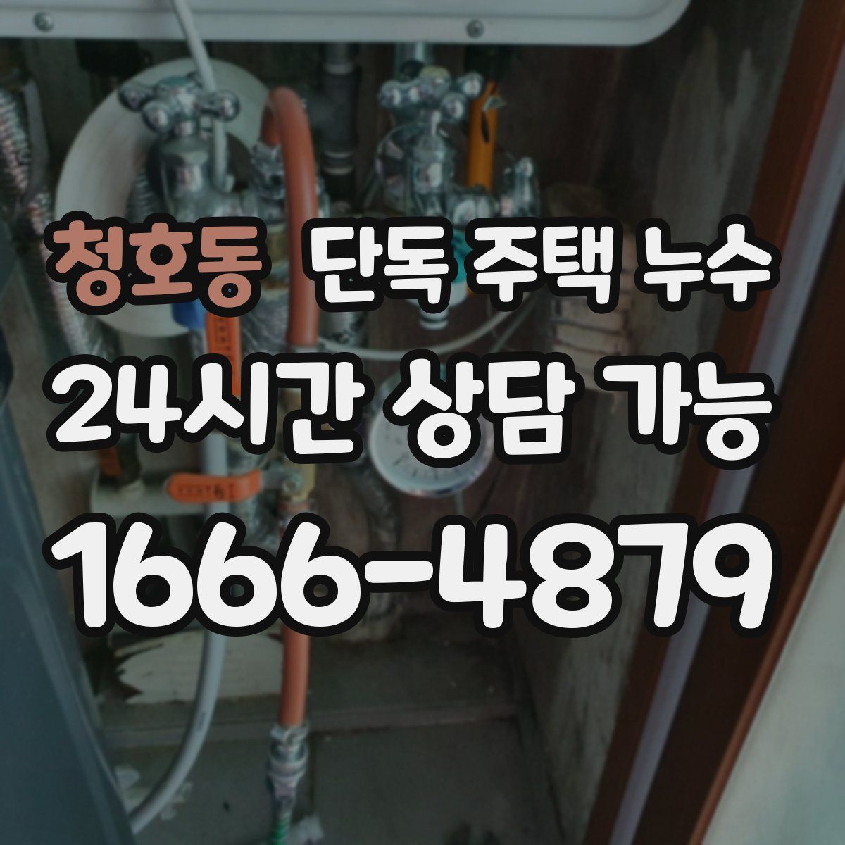 청호동 단독 주택 누수