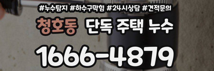 청호동 단독 주택 누수