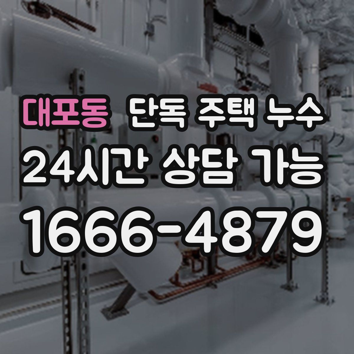 대포동 단독 주택 누수