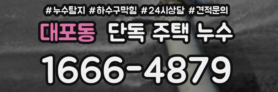 대포동 단독 주택 누수