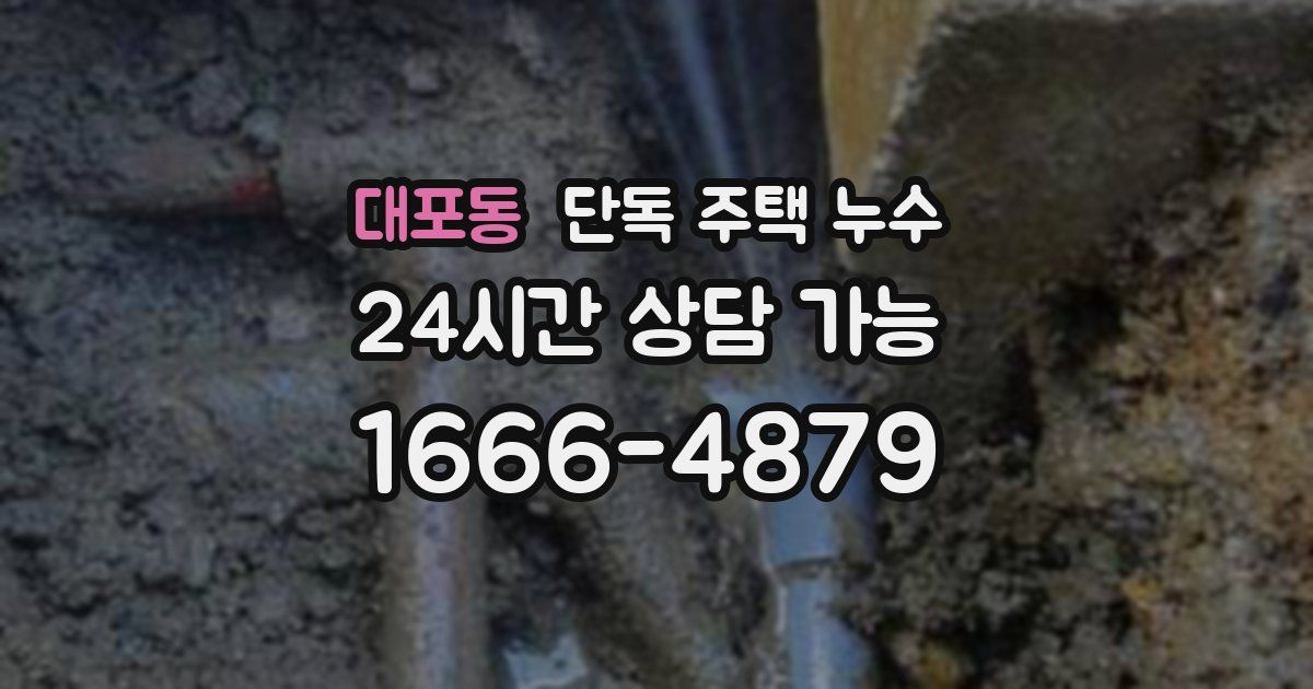 대포동 단독 주택 누수