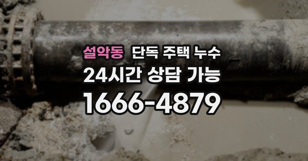 설악동 단독 주택 누수