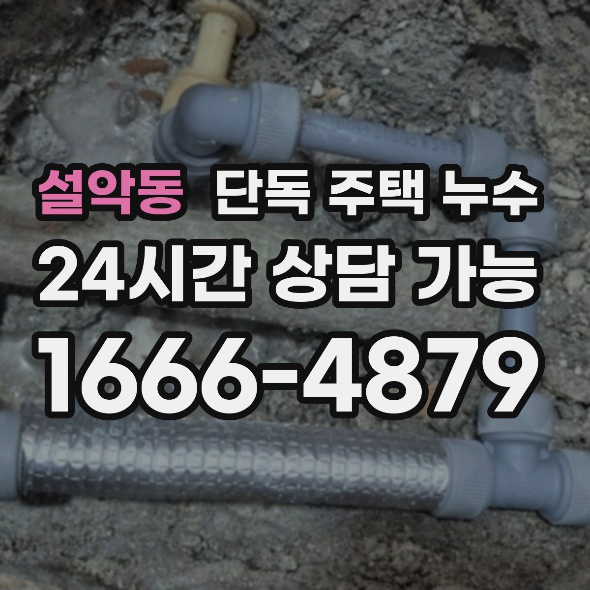 설악동 단독 주택 누수