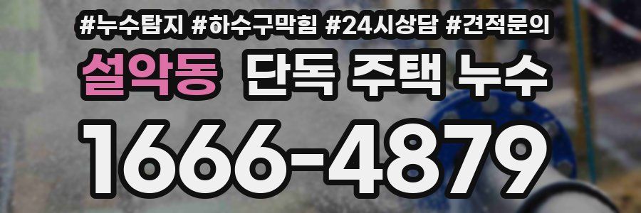 설악동 단독 주택 누수