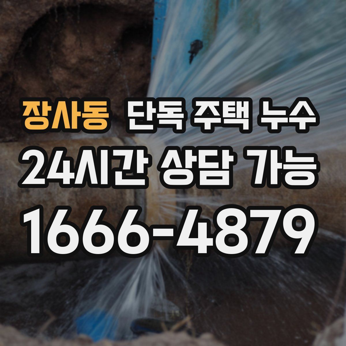 장사동 단독 주택 누수