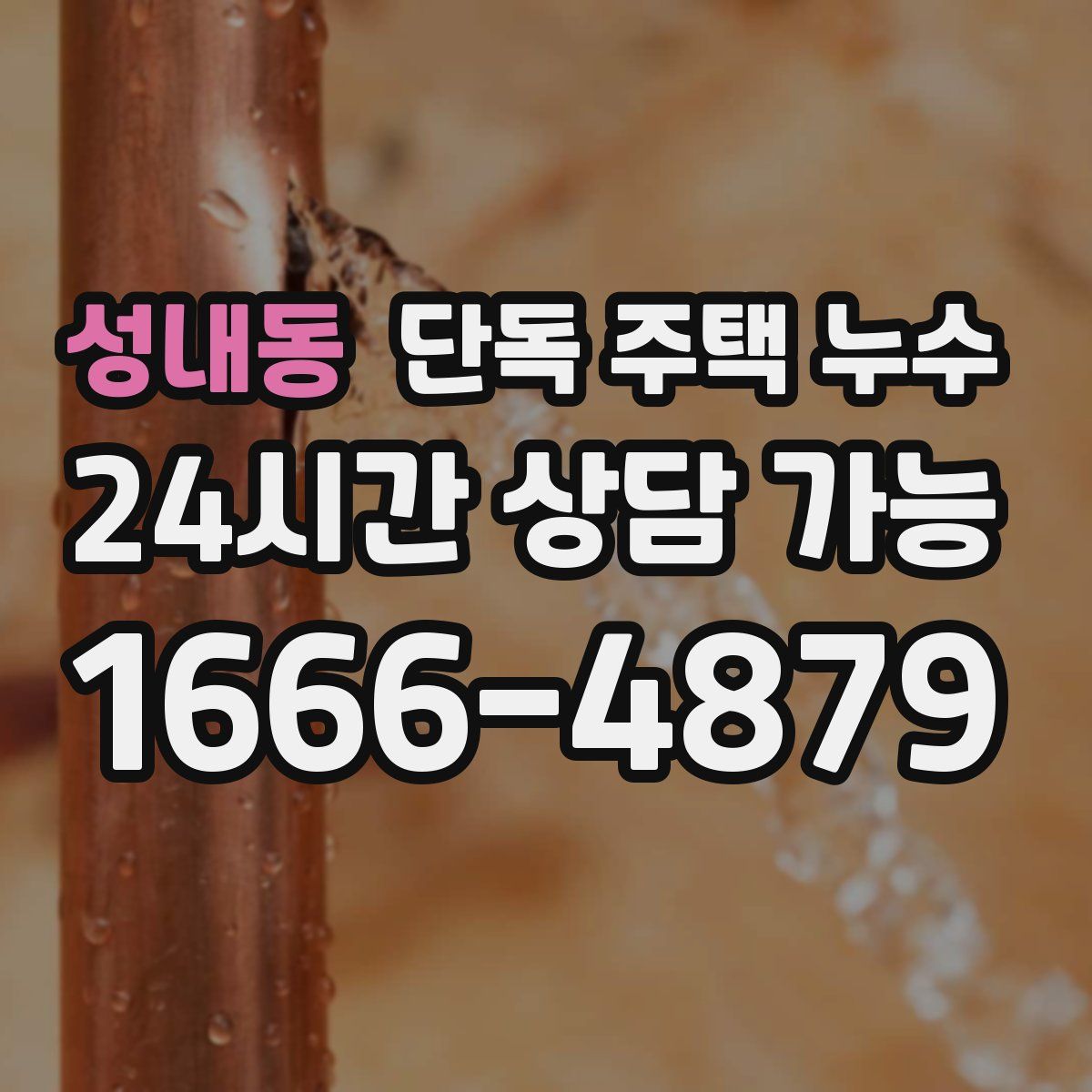 성내동 단독 주택 누수