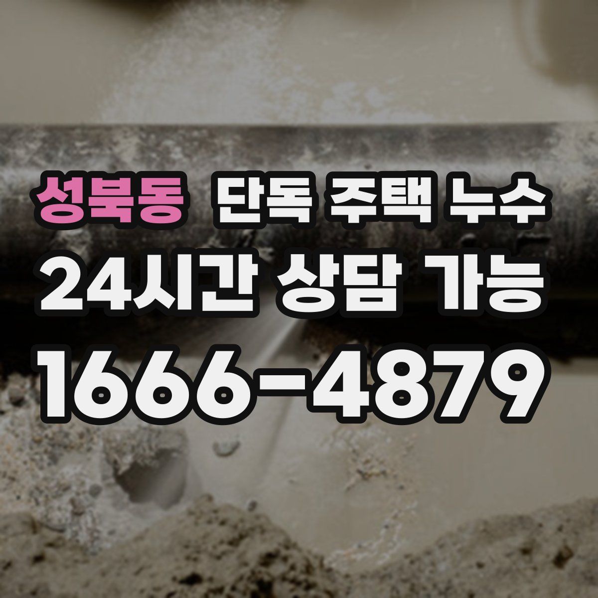 성북동 단독 주택 누수