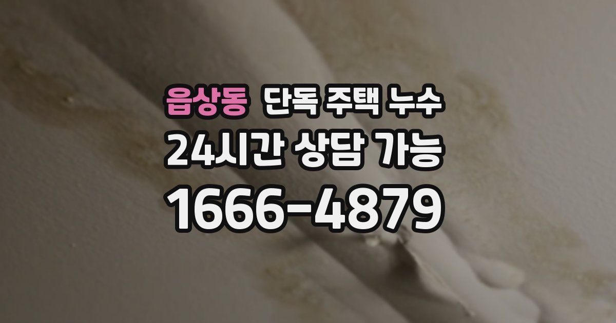 읍상동 단독 주택 누수