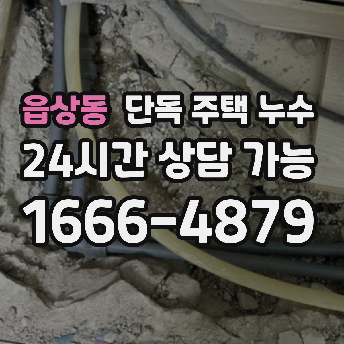 읍상동 단독 주택 누수