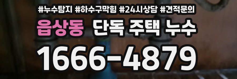 읍상동 단독 주택 누수