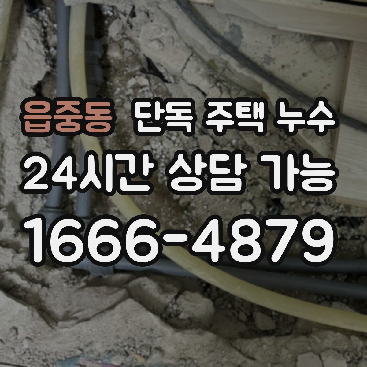 읍중동 단독 주택 누수