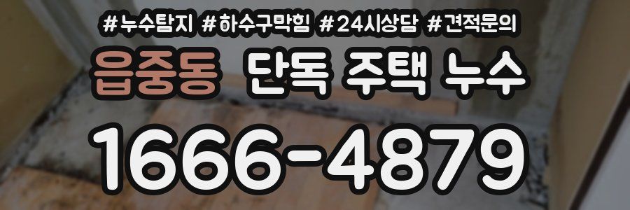 읍중동 단독 주택 누수