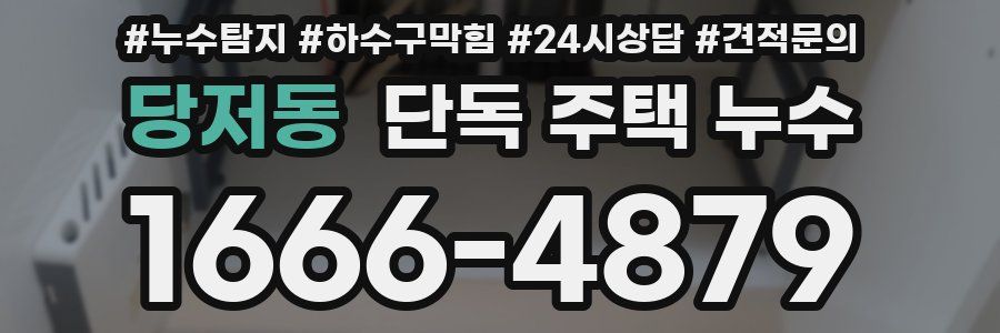 당저동 단독 주택 누수