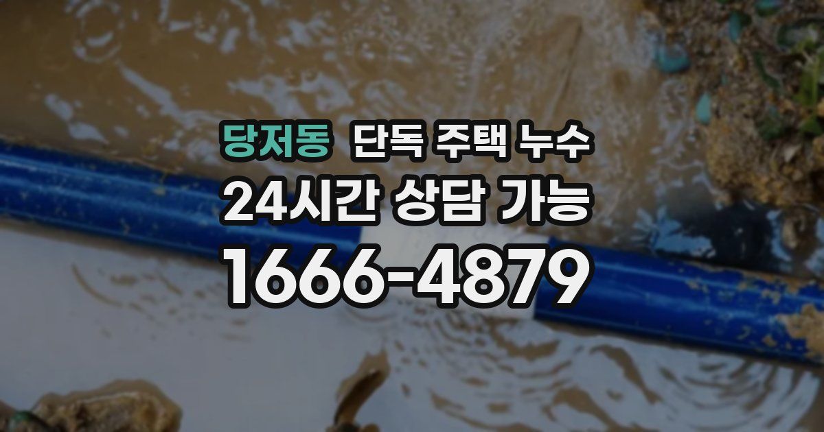 당저동 단독 주택 누수