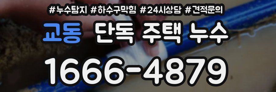 교동 단독 주택 누수