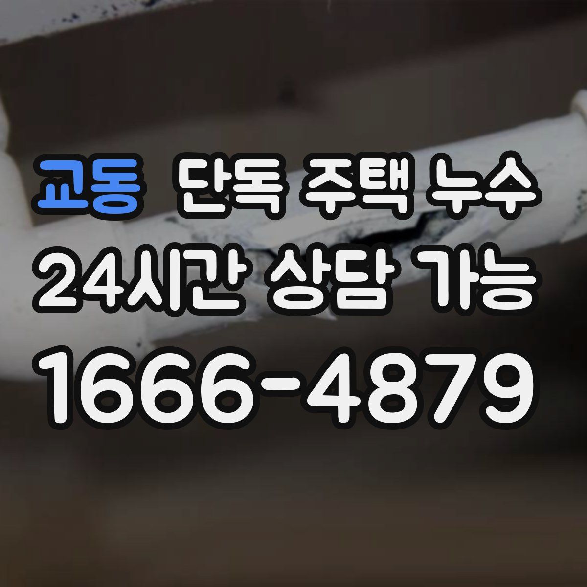 교동 단독 주택 누수