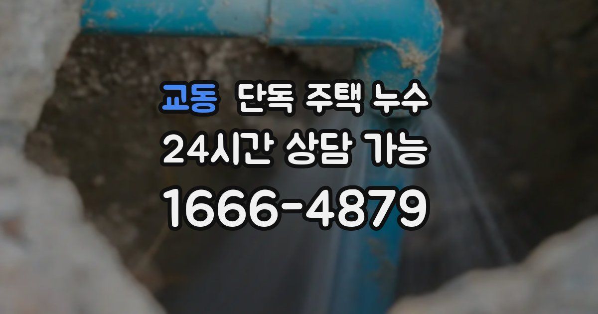 교동 단독 주택 누수