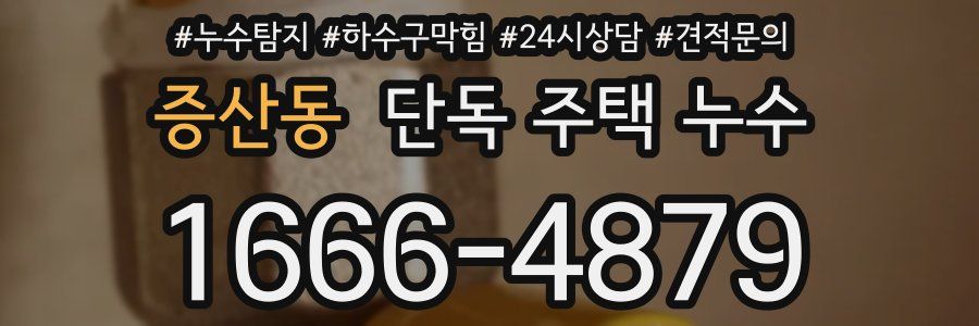 증산동 단독 주택 누수