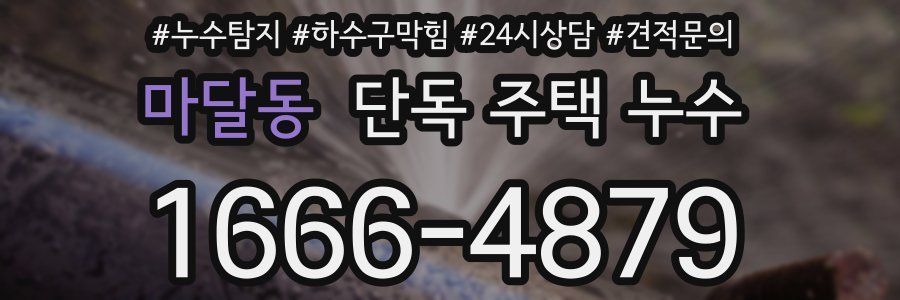 마달동 단독 주택 누수