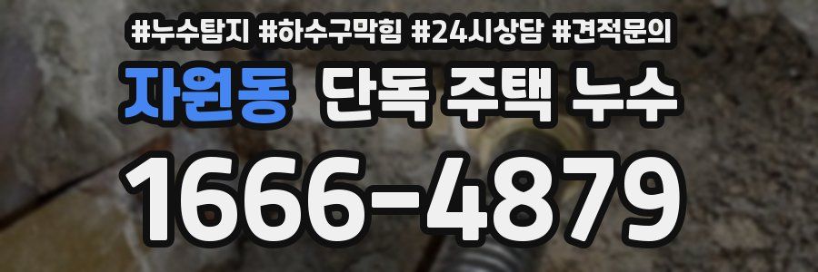 자원동 단독 주택 누수