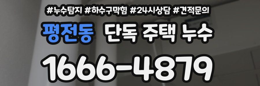 평전동 단독 주택 누수