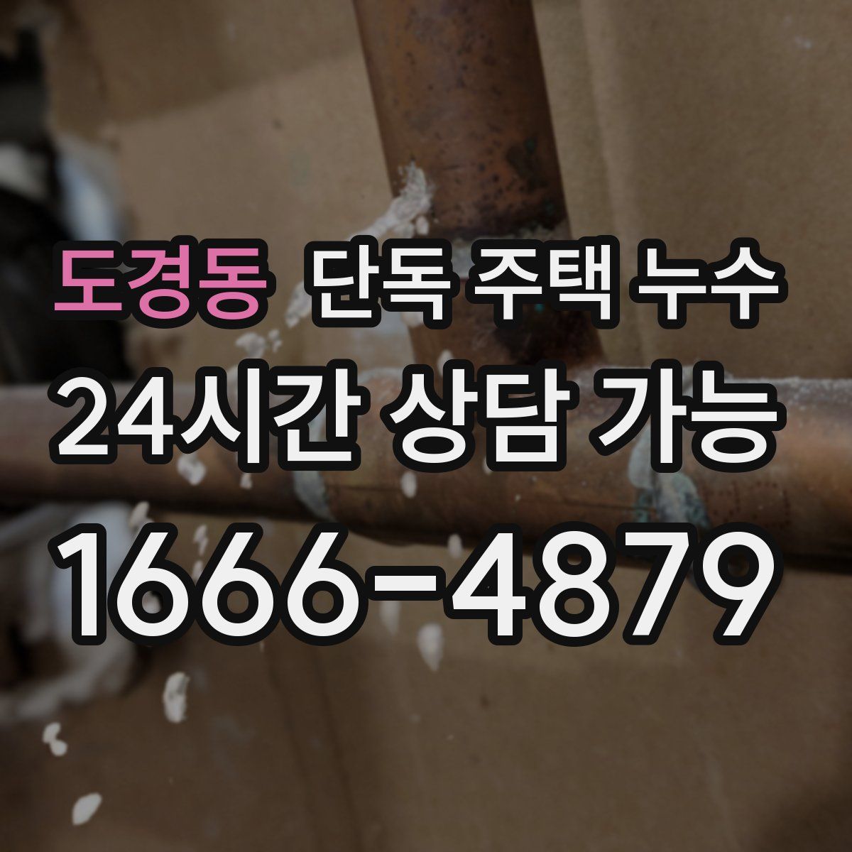 도경동 단독 주택 누수