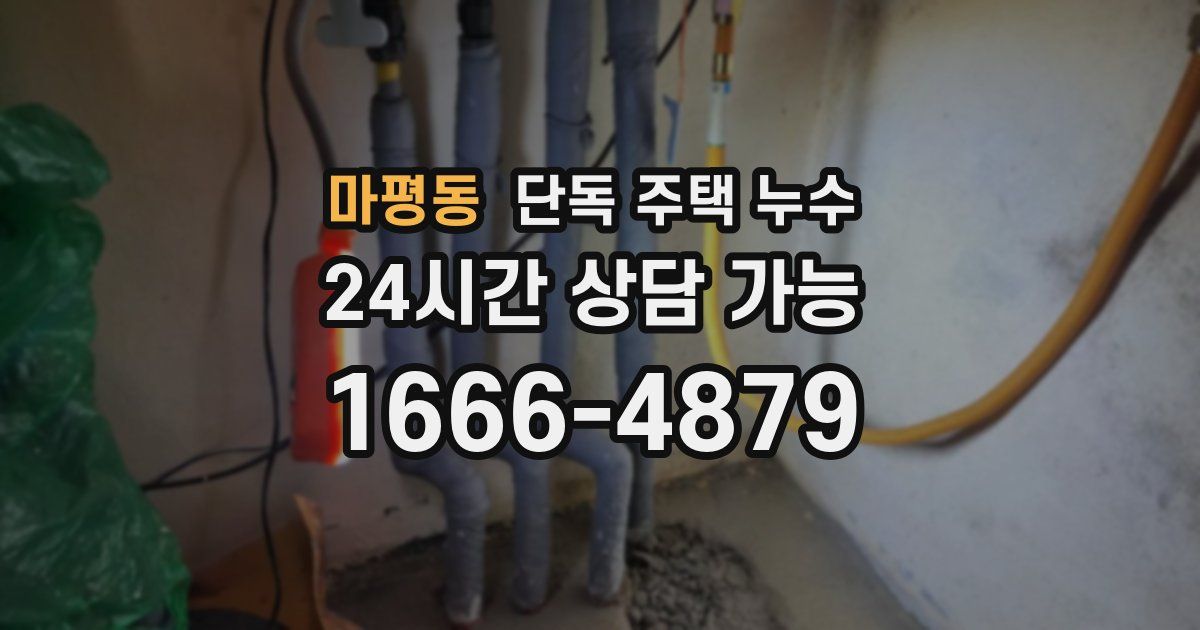 마평동 단독 주택 누수
