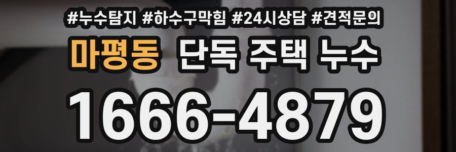 마평동 단독 주택 누수