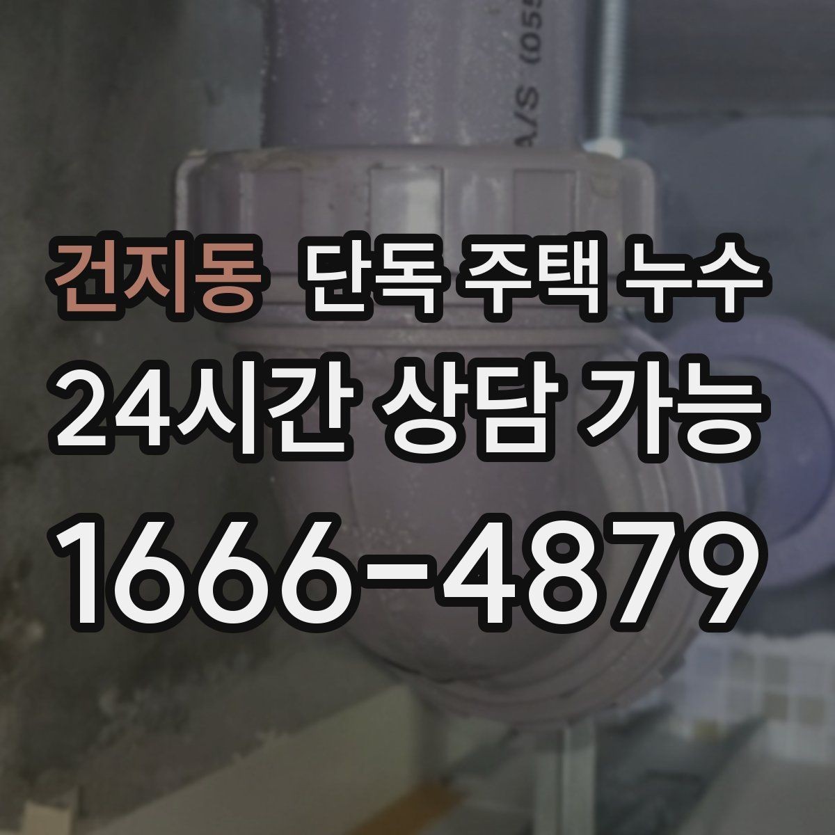 건지동 단독 주택 누수 거실 천장 가장자리로 번지는 물자국 의미