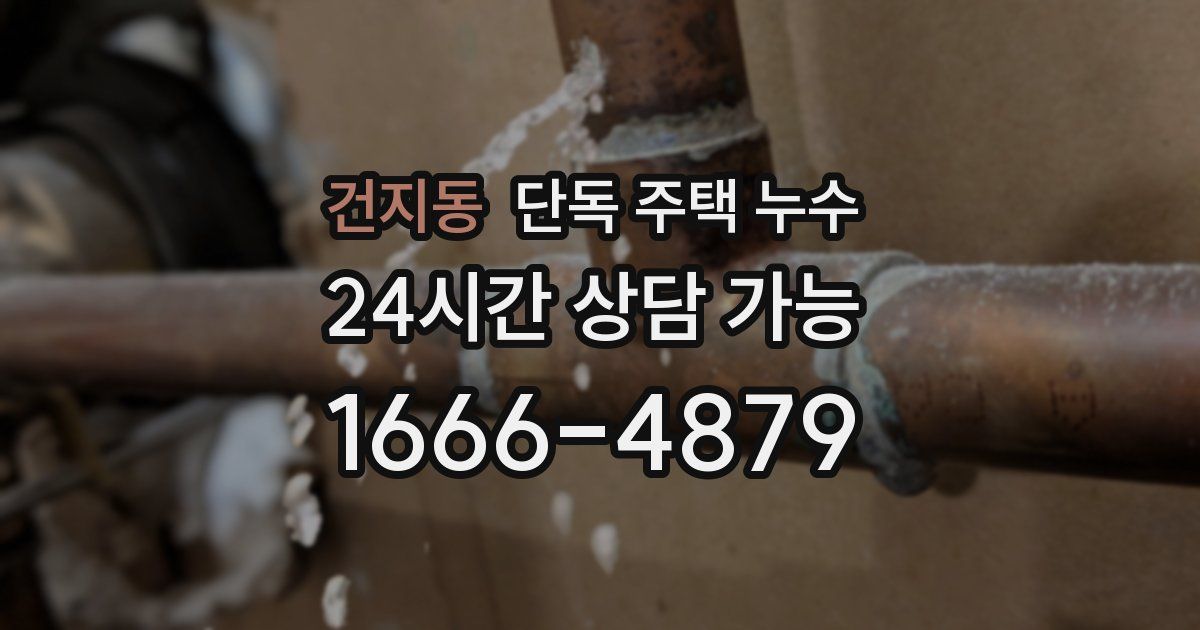 건지동 단독 주택 누수