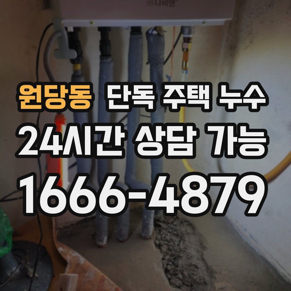 원당동 단독 주택 누수 상담 전 미리 정리하면 좋은 정보