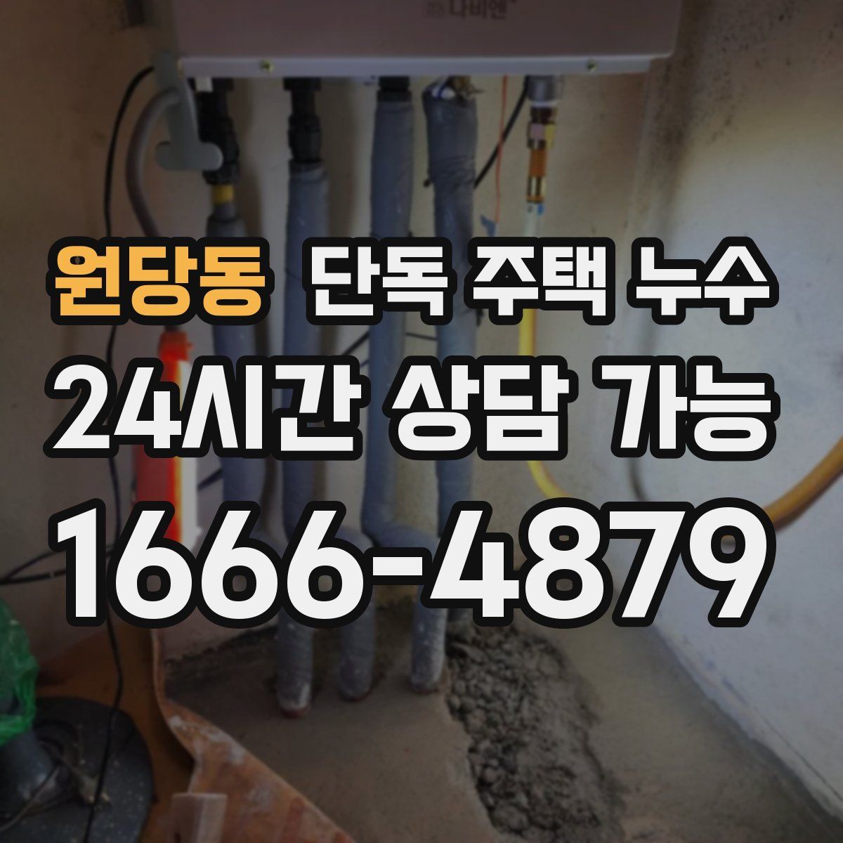 원당동 단독 주택 누수