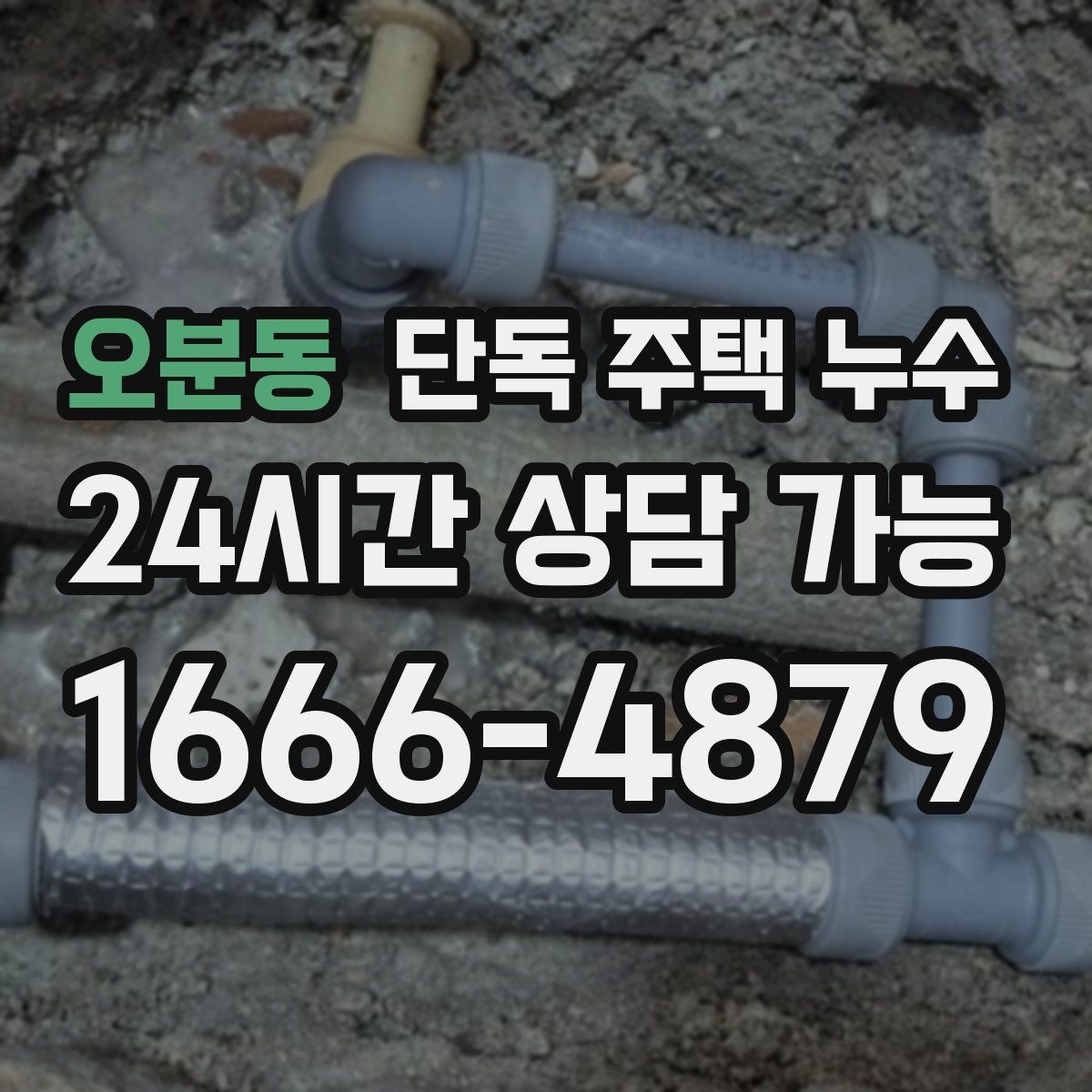 오분동 단독 주택 누수 겨울 뒤 동파가 지나가고 남는 미세 누수