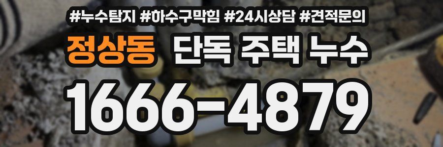 정상동 단독 주택 누수