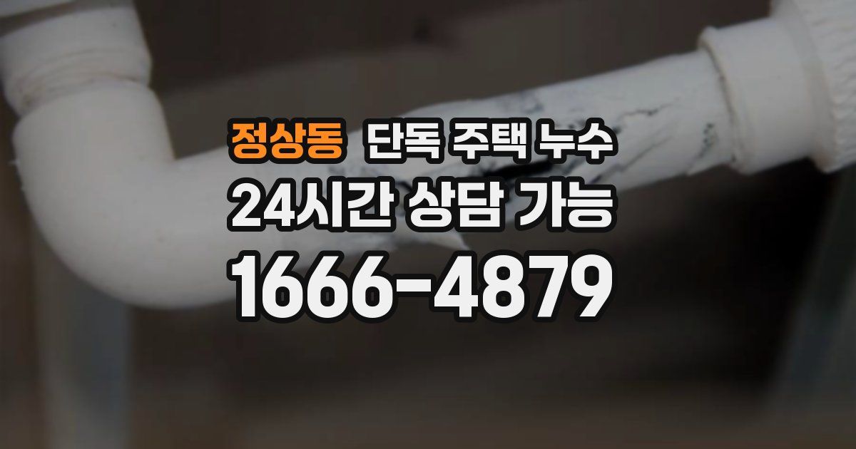 정상동 단독 주택 누수