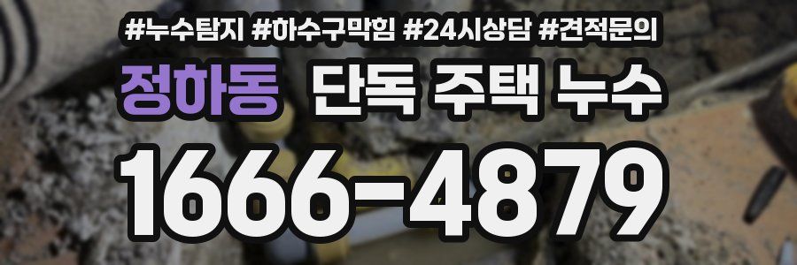 정하동 단독 주택 누수