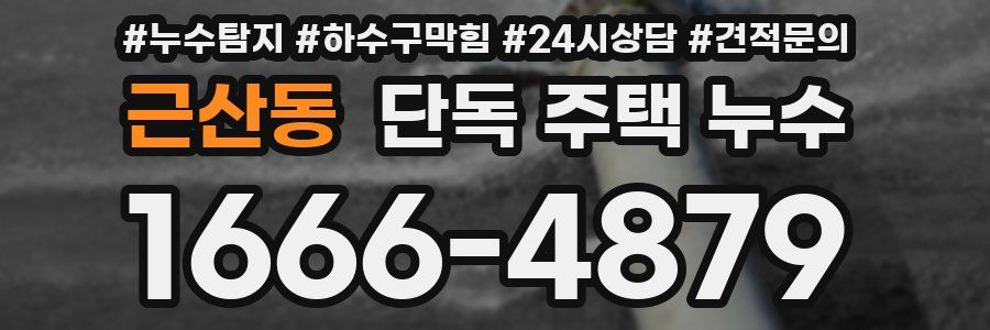 근산동 단독 주택 누수