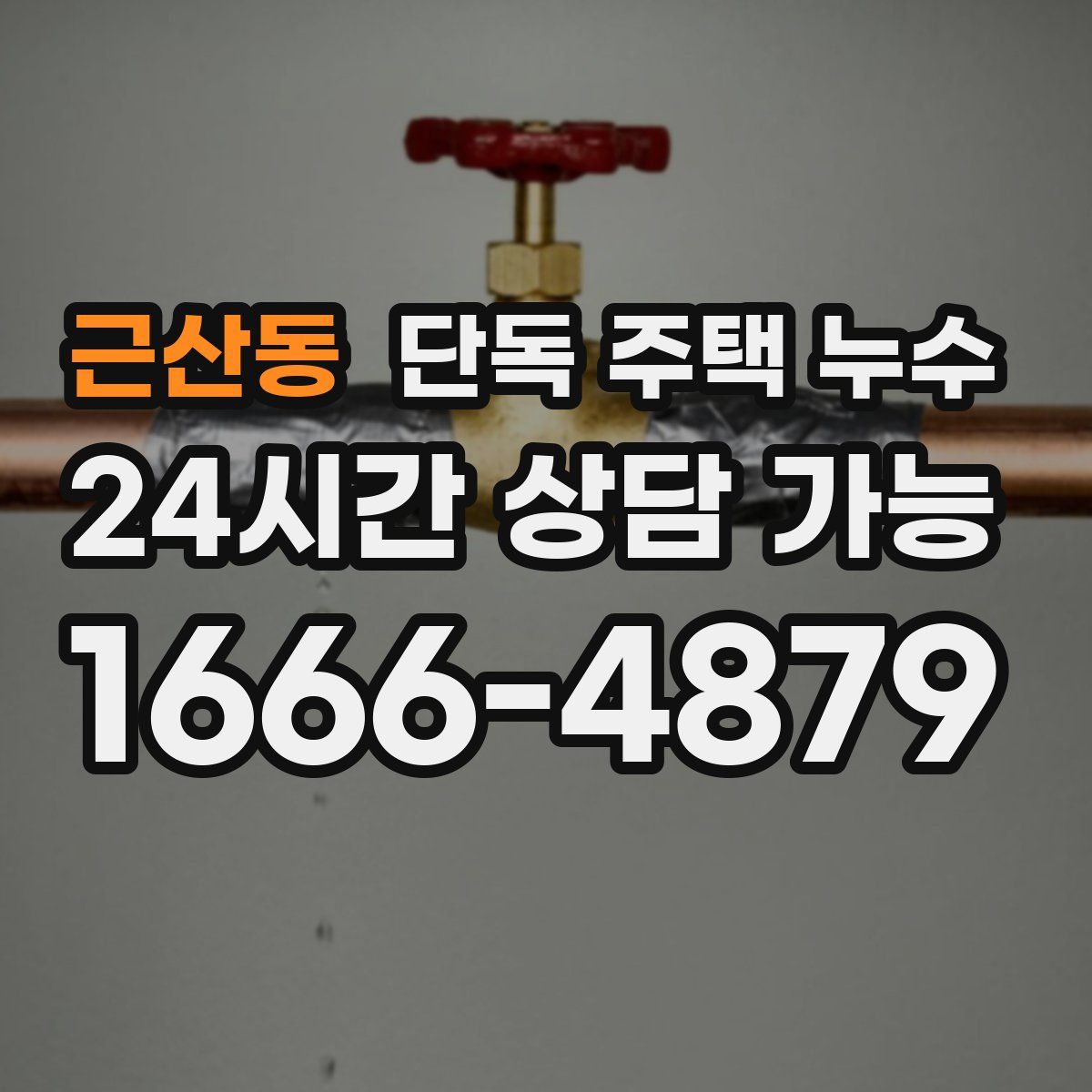 근산동 단독 주택 누수