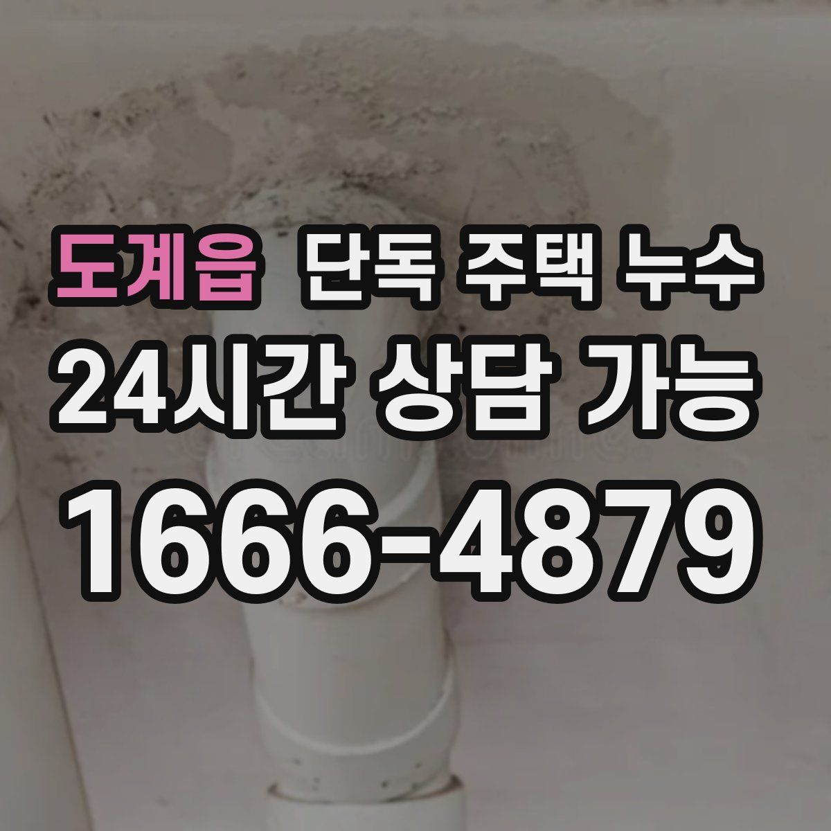 도계읍 단독 주택 누수