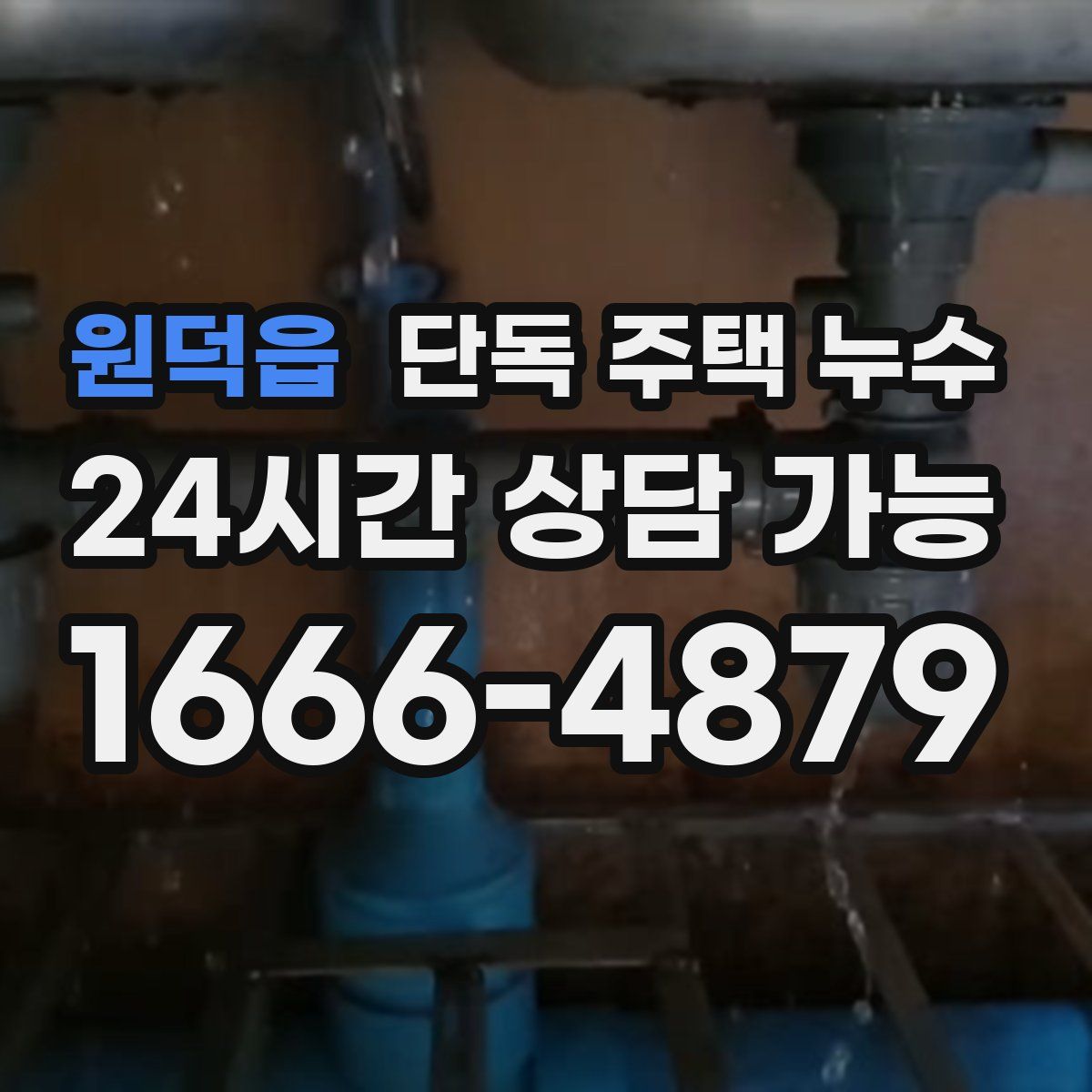 원덕읍 단독 주택 누수