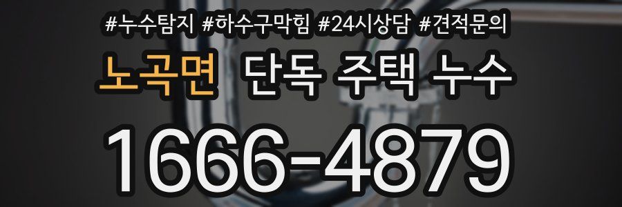 노곡면 단독 주택 누수