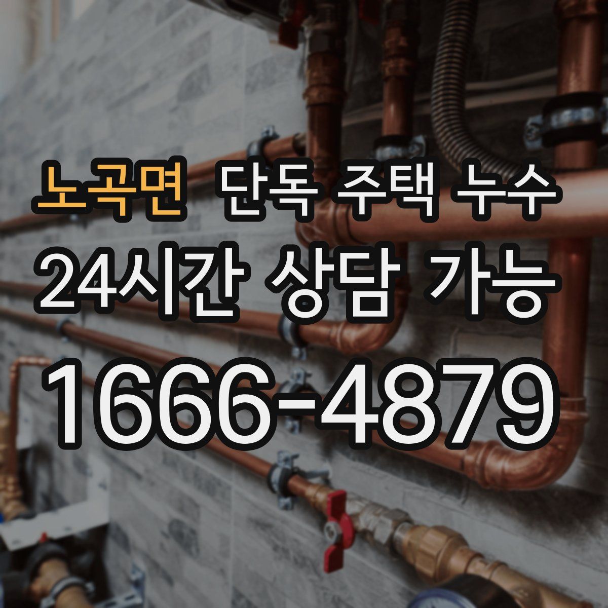 노곡면 단독 주택 누수