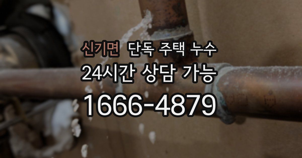 신기면 단독 주택 누수