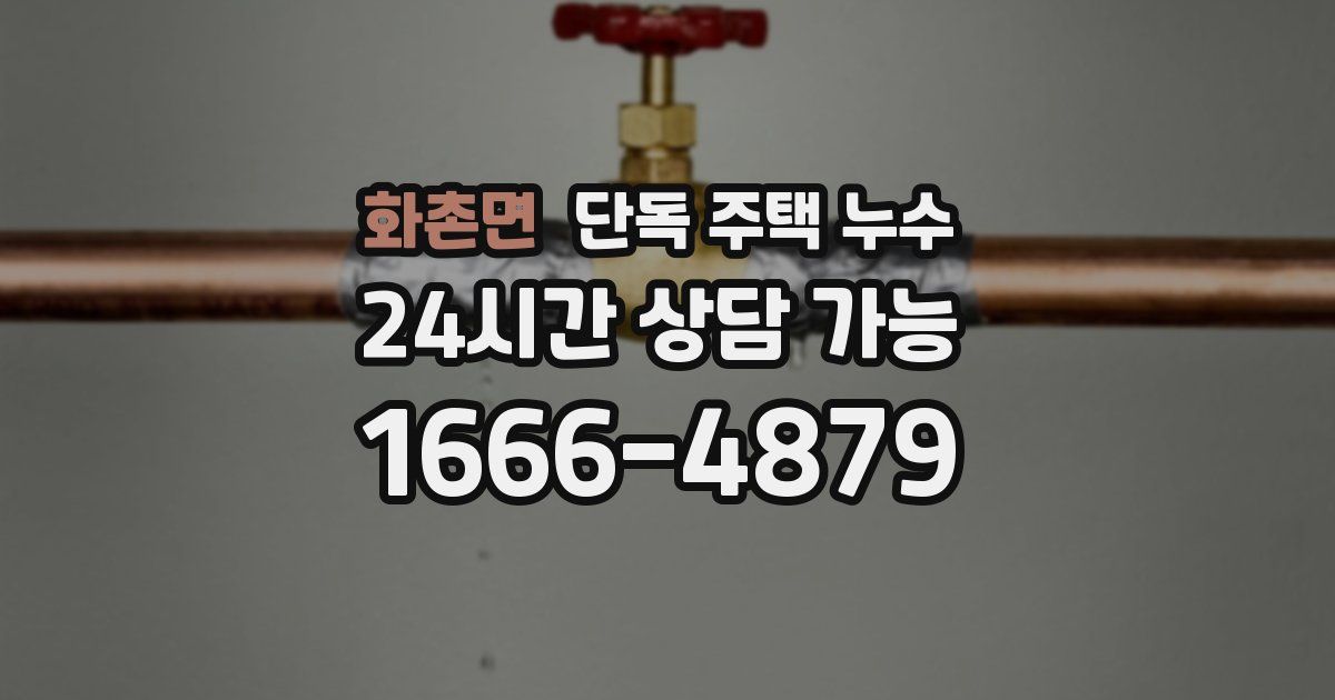 화촌면 단독 주택 누수