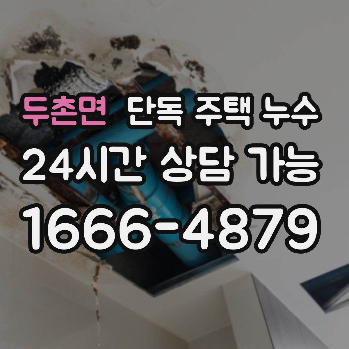 두촌면 단독 주택 누수