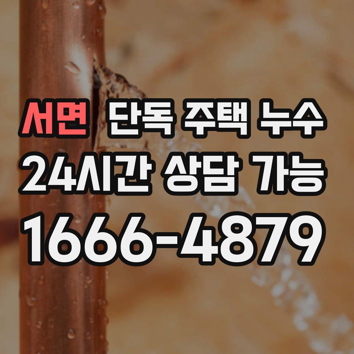서면 단독 주택 누수 세탁기 급수호스 연결부 누수 점검